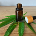 Is it Legal to Purchase a E-cigarettes or e-cigs Oil Kit in the US?