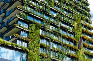 Sustainability at Scale: Green Building with a 30×50 Metal Structure